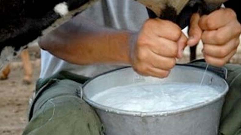 Produccion de leche en el Tolima 4 2 22