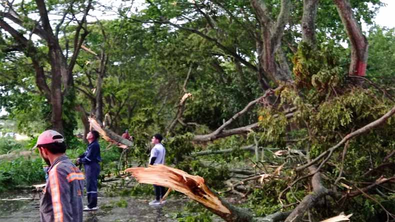 Lluvias y tormentas Tolima