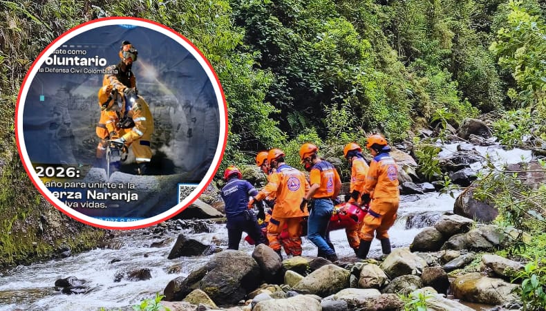 voluntarios tolima