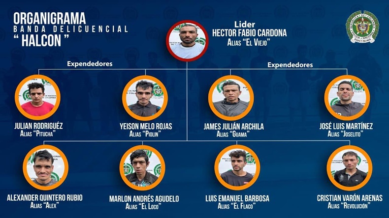 Halcones dentro