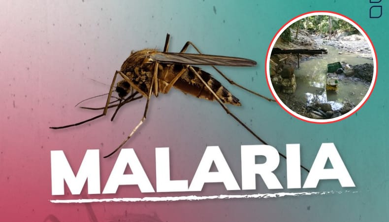 Malarias