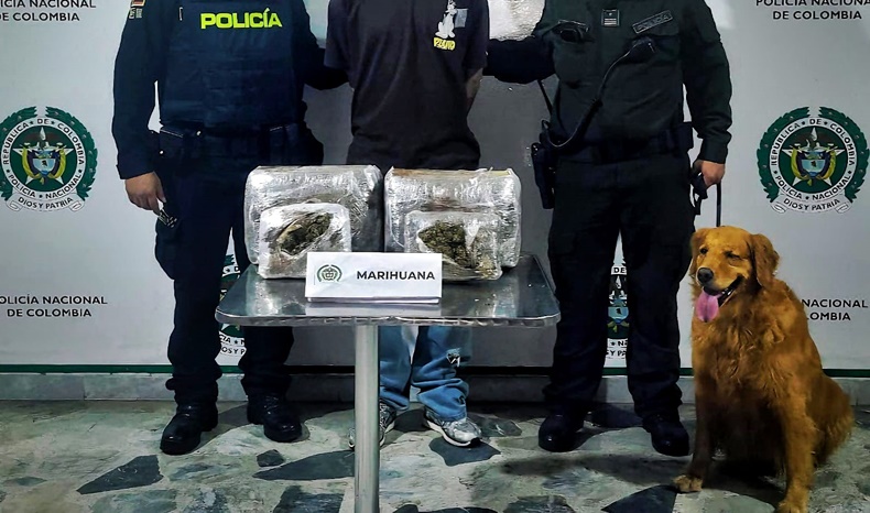droga en terminal