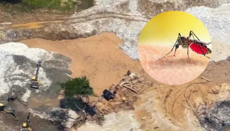 malaria en ataco