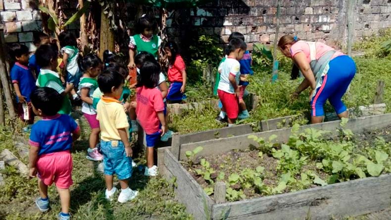 Proyectos ambientales 15 3 22 Cortolima