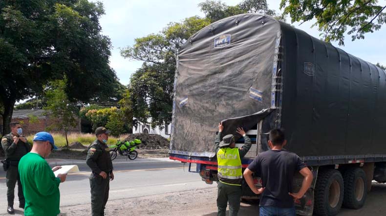 Madera ilegal incautada