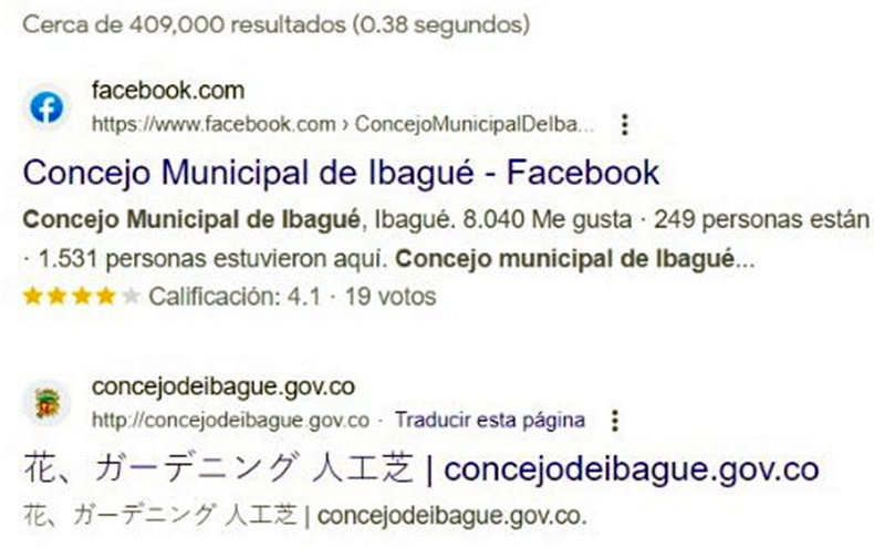 Concejo de Ibagué