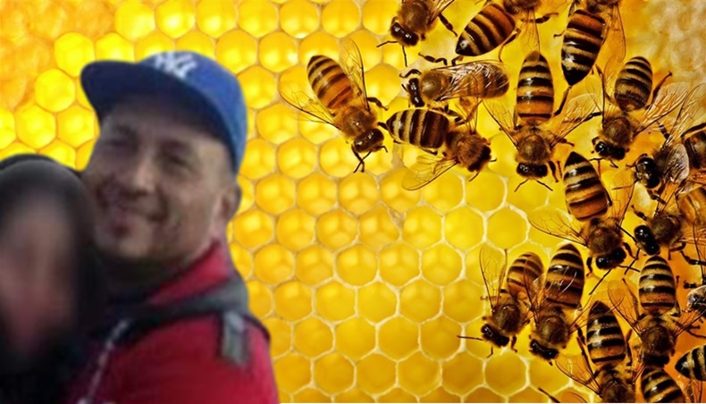 abejas enjambre