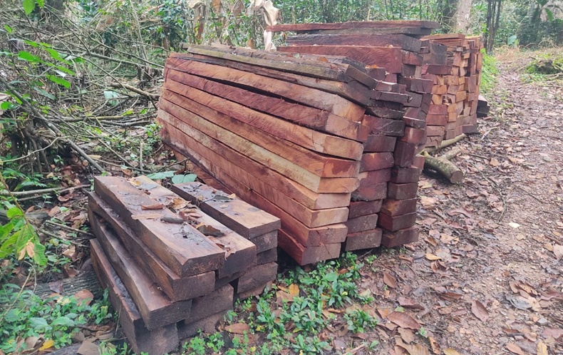 madera