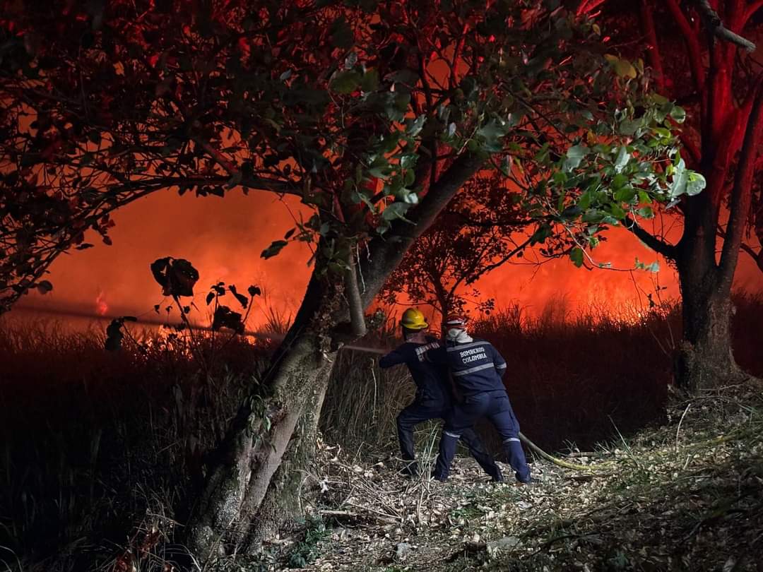 Incendios forestales tolima