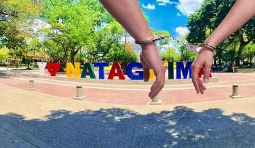 Los delincuentes Nata