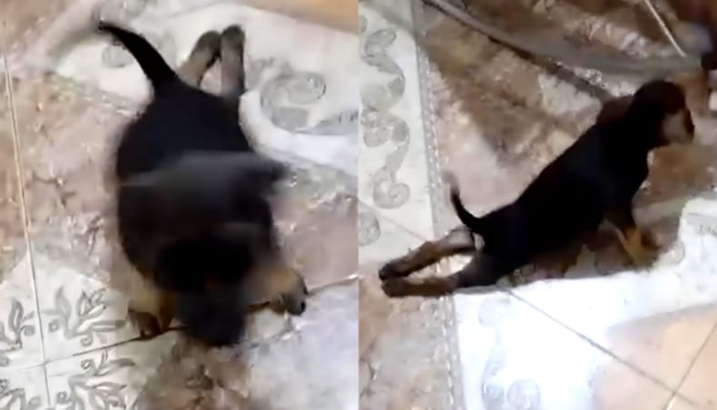 indignacion maltrato