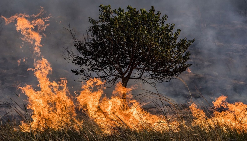 incendios tolima