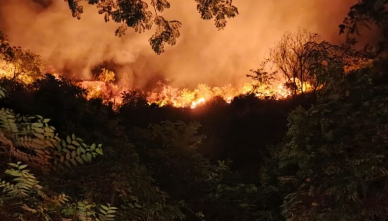 incendio Prado