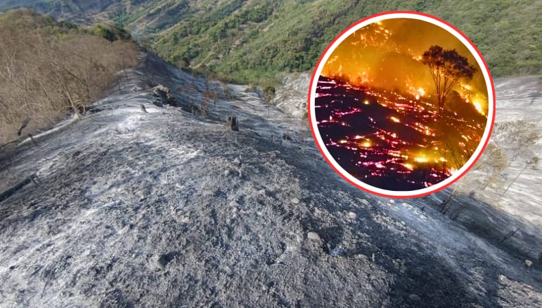 incendioforestal226.jpg